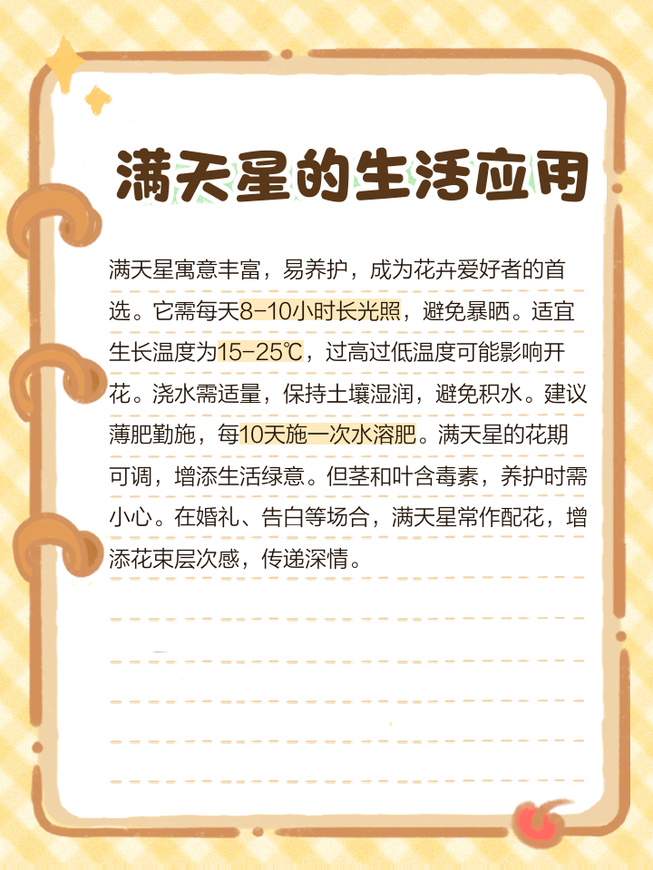 满天星花语需要加水吗满天星花用不用放水