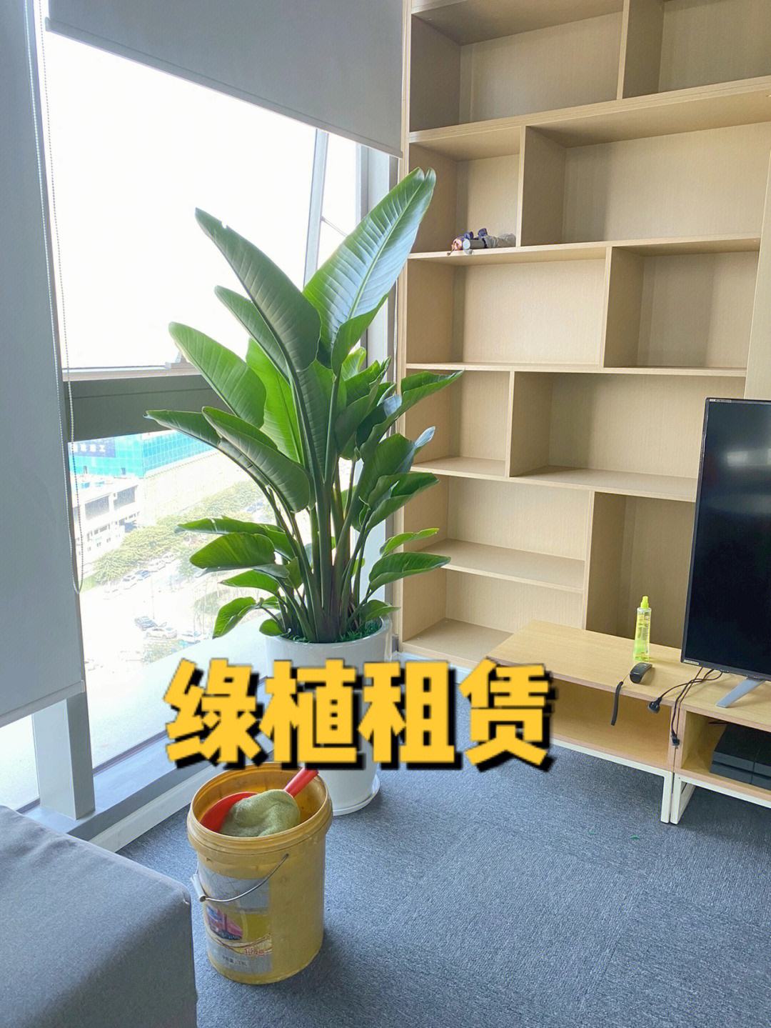 中山绿植租赁中山出租屋的租赁税