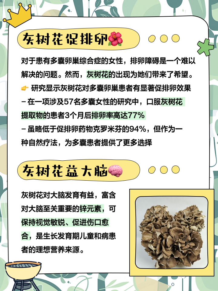 野树花有什么功效野树梅的功效与作用