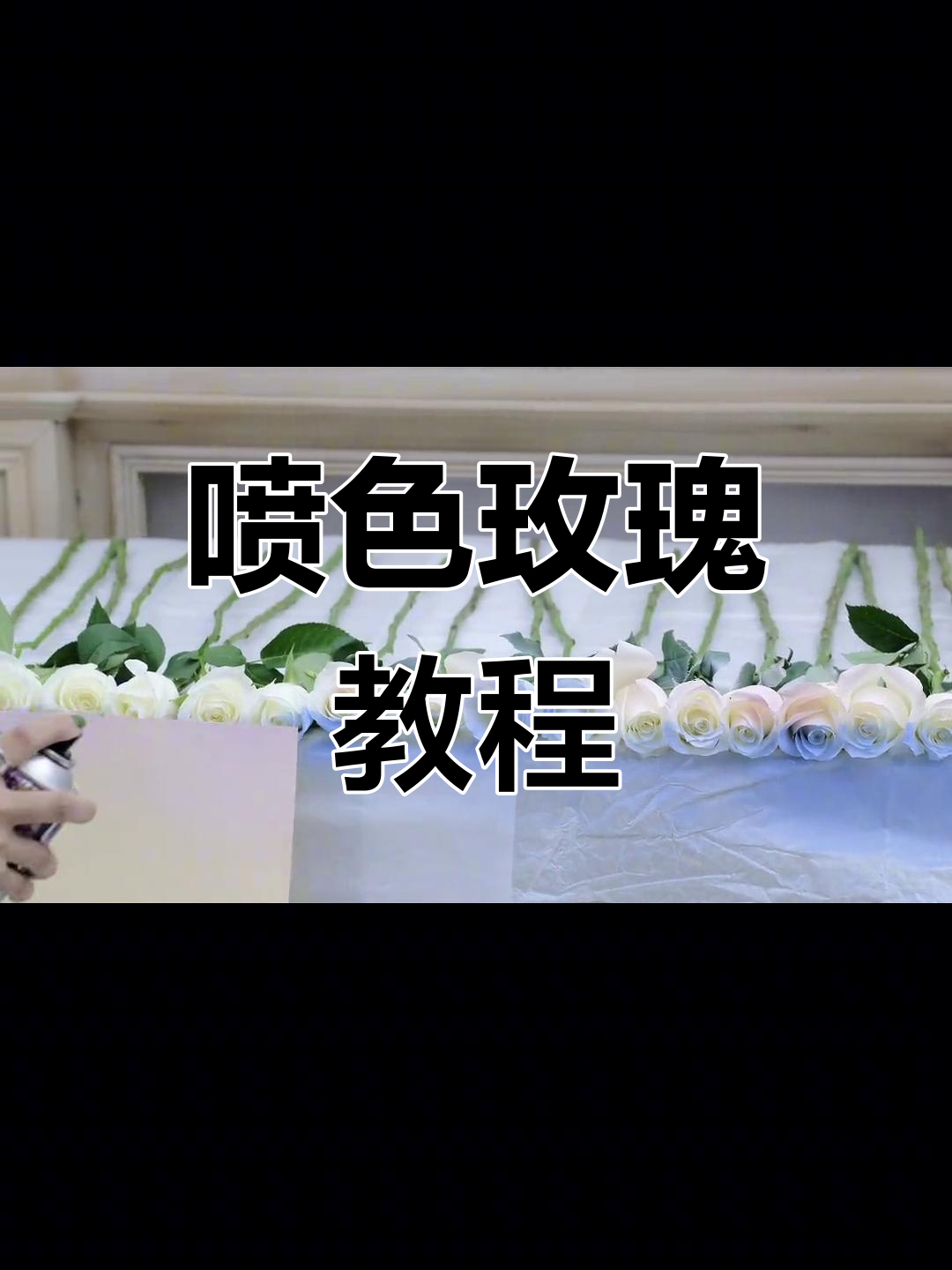 玫瑰花的养护需要喷水吗玫瑰花的养护需要喷水吗为什么