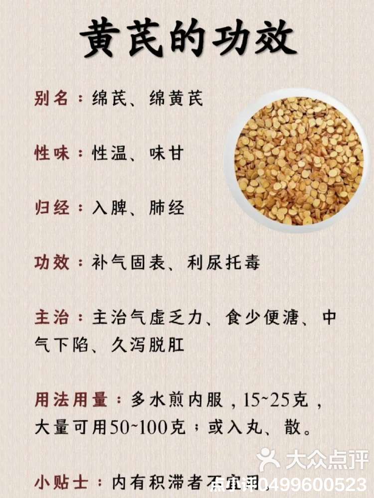 黄芪花的功效与禁忌黄芪花泡水喝有什么功效