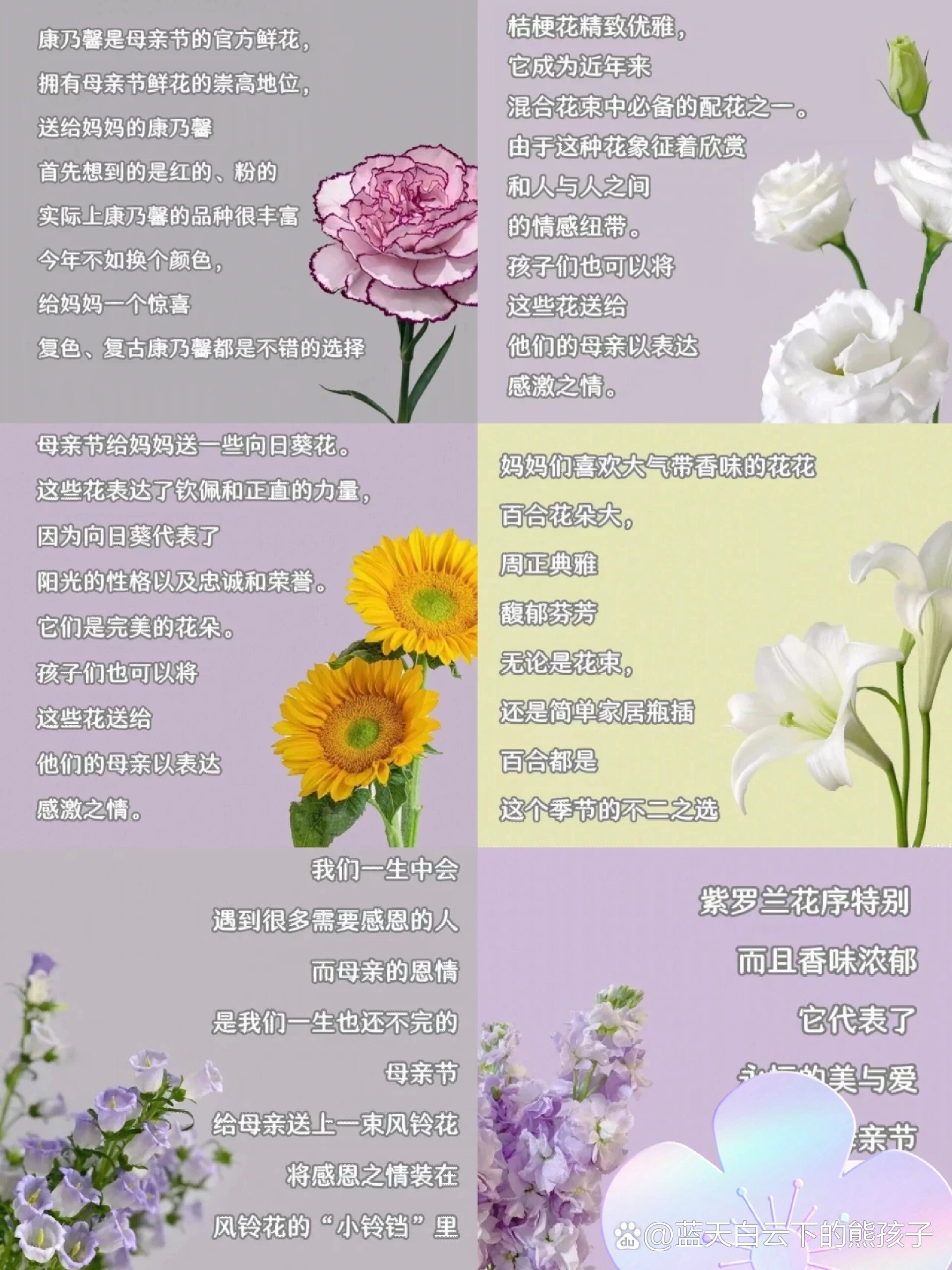 关于花木的花语有哪些关于花木的四字词语