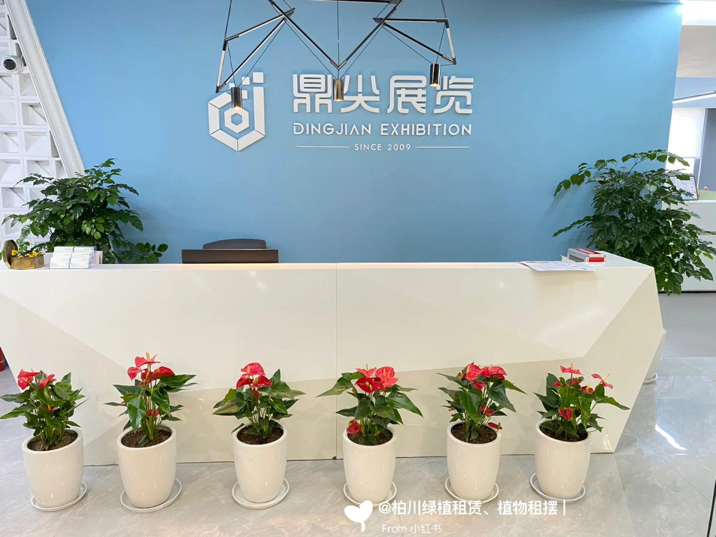 郑州绿植送货上门郑州绿植送货上门电话