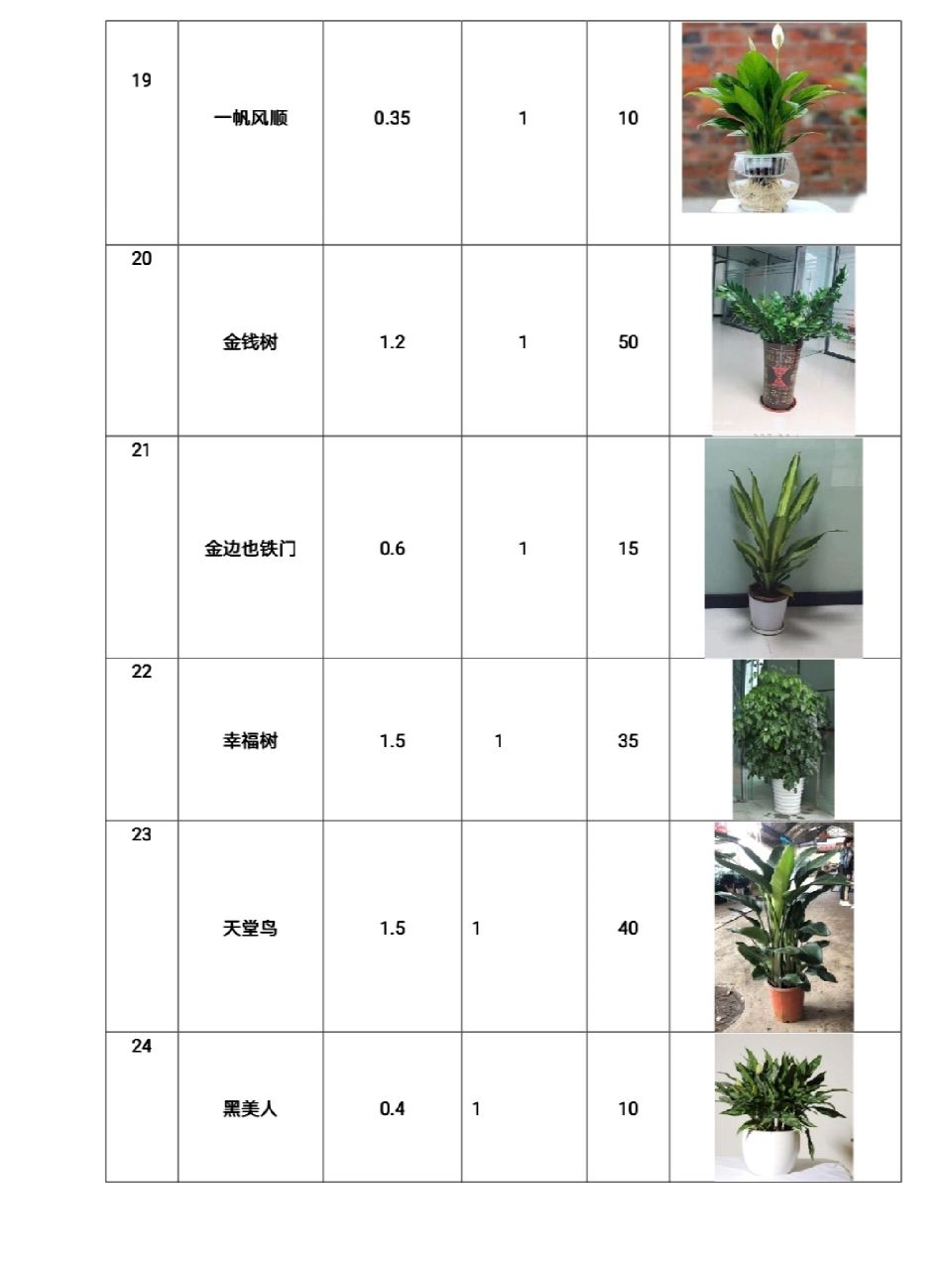 绿植植物租摆价格绿植植物租摆价格怎么算